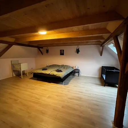 Large Vacation For 12 People Feriehus Logumkloster